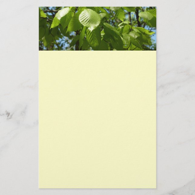 Spring Birch Leaves Green Tree Stationery (Front)
