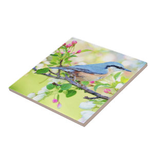 Spring Bird - Beautiful Tile