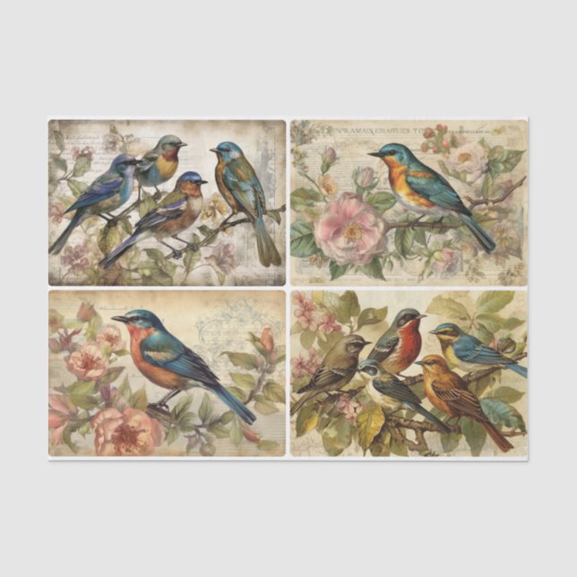 Spring Birds  Tissue Paper (Front)