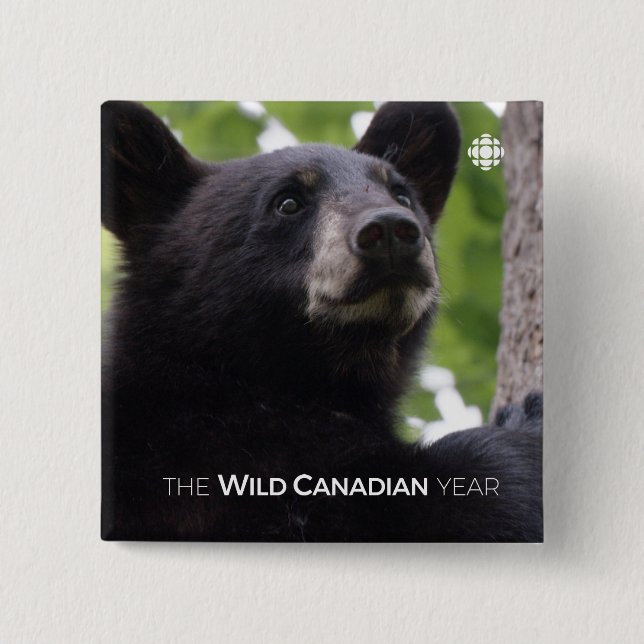 Spring - Black Bear 2 Inch Square Button (Front)