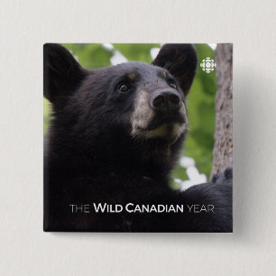 Spring - Black Bear 2 Inch Square Button
