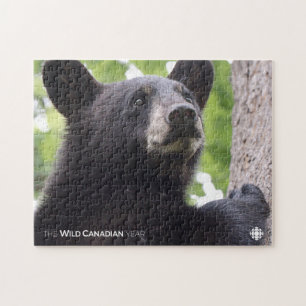Spring - Black Bear Jigsaw Puzzle