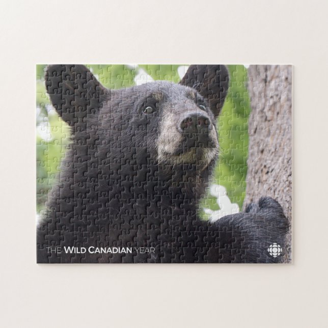 Spring - Black Bear Jigsaw Puzzle (Horizontal)