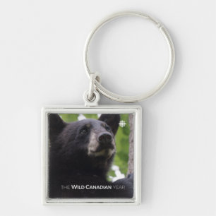 Spring - Black Bear Keychain
