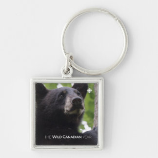 Spring - Black Bear Keychain