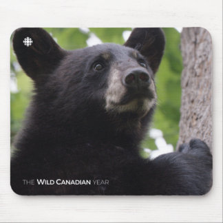 Spring - Black Bear Mouse Pad