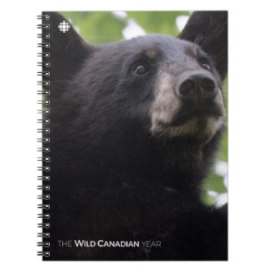 Spring - Black Bear Notebook