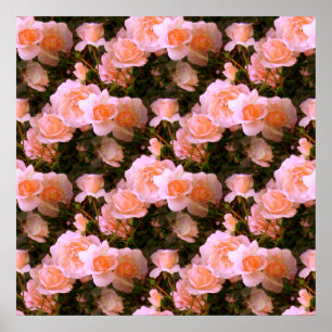 Spring Bliss... Poster