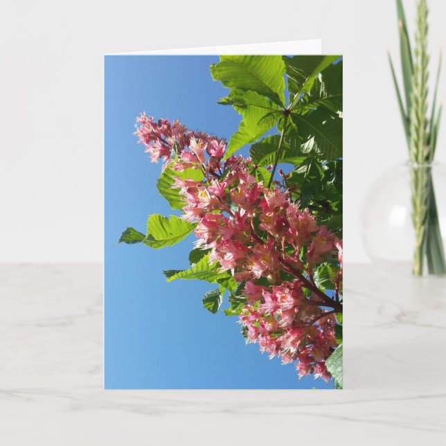Spring blooming chestnut tree flowers card (Front)