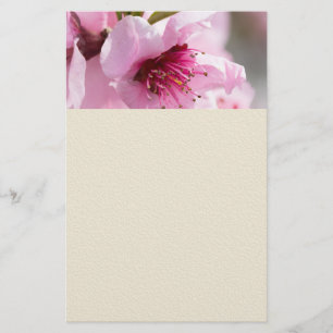 Spring blooming flyer