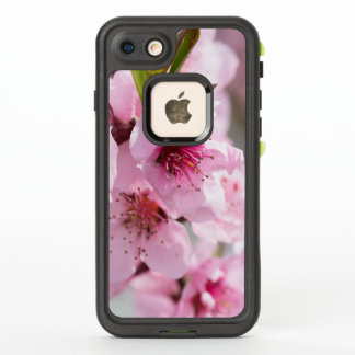 Spring blooming