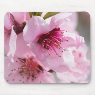 Spring blooming mouse pad