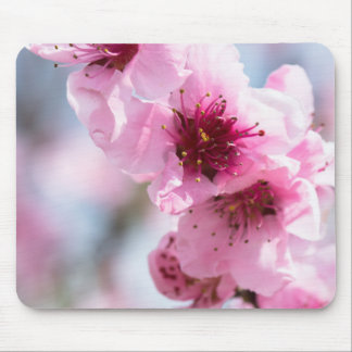Spring blooming mouse pad