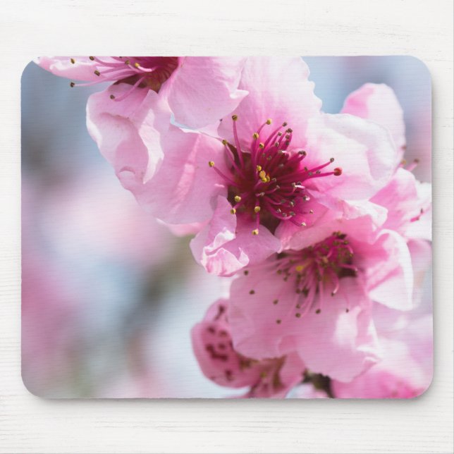 Spring blooming mouse pad (Front)