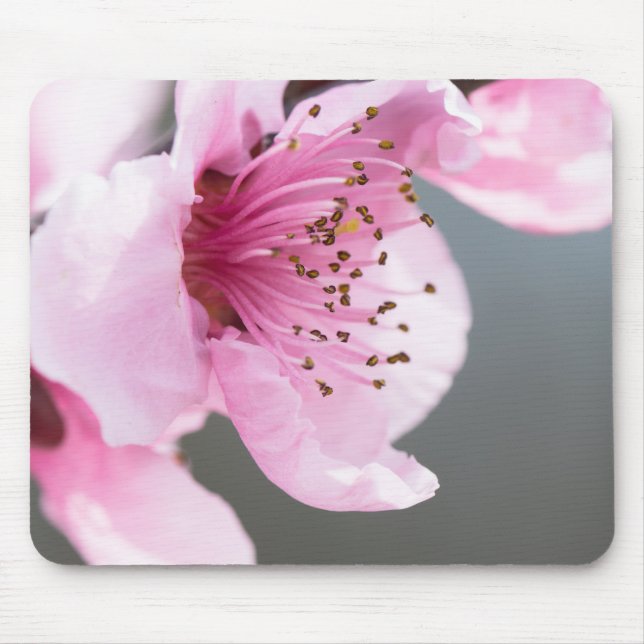 Spring blooming mouse pad (Front)