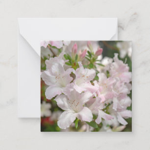 Spring Blooming Pink Azalea Flowers Card
