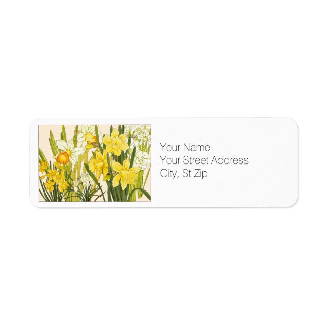 Spring Blooming Yellow Daffodils Botanical Art (Front)