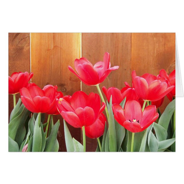 Spring Blooms (Front Horizontal)