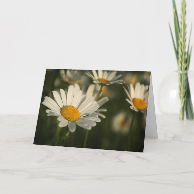 Spring Blooms Card (Front)