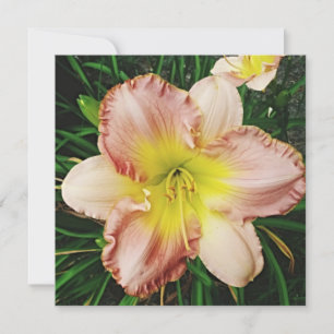 Spring Blooms Holiday Card