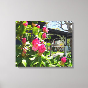 Spring Blooms in Cottage City - Martha's Vineyard Canvas Print