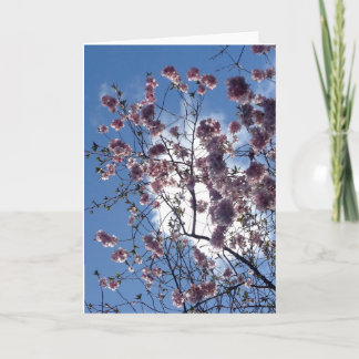 Spring blossom from Loch Ness Greeting Card