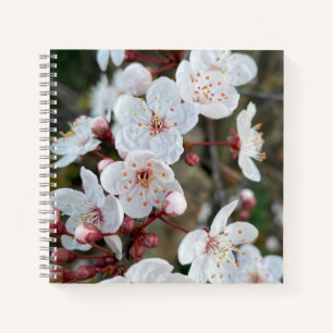 Spring Blossom Notebook