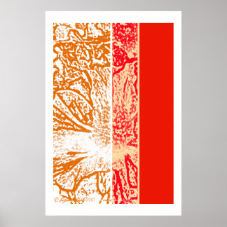Spring Blossom Poster