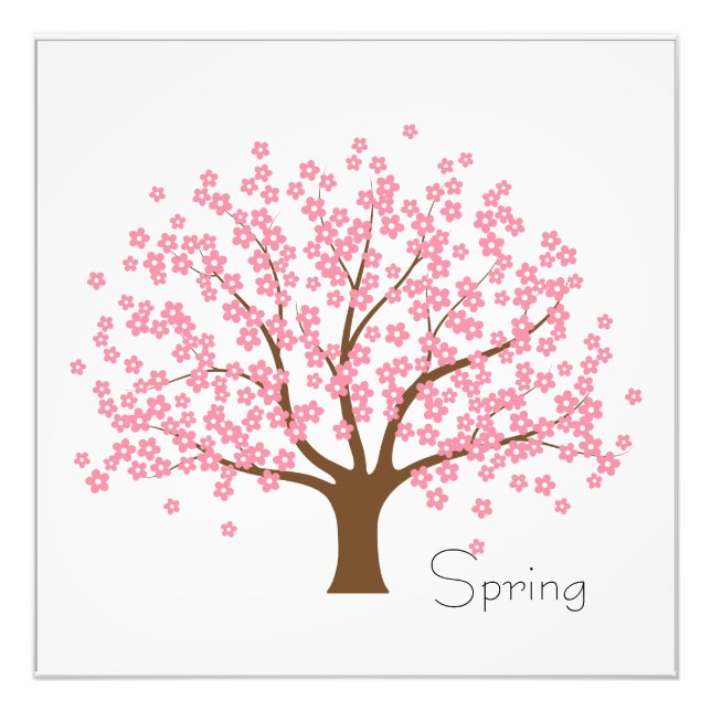 Spring Blossom Tree Photo Print (Front)