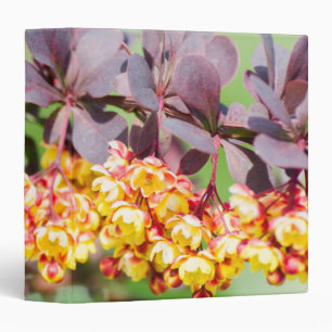 Spring blossoming binder