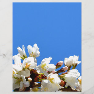 Spring Blossoms