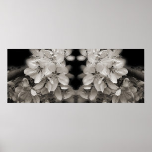 Spring Blossoms Black And White Mirror Abstract Poster