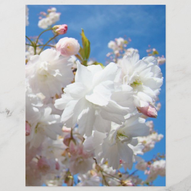 Spring Blossoms Flyers paper Blue Sky Flowers (Front)