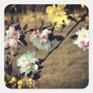 Spring Blossoms In Sepia Flower  Square Sticker
