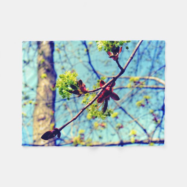 Spring blossoms maple tree stylized fleece blanket (Front (Horizontal))