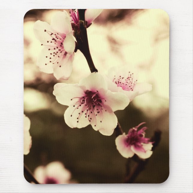 Spring Blossoms Mousepad (Front)