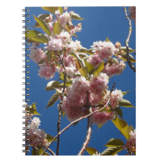 Spring Blossoms Notebook