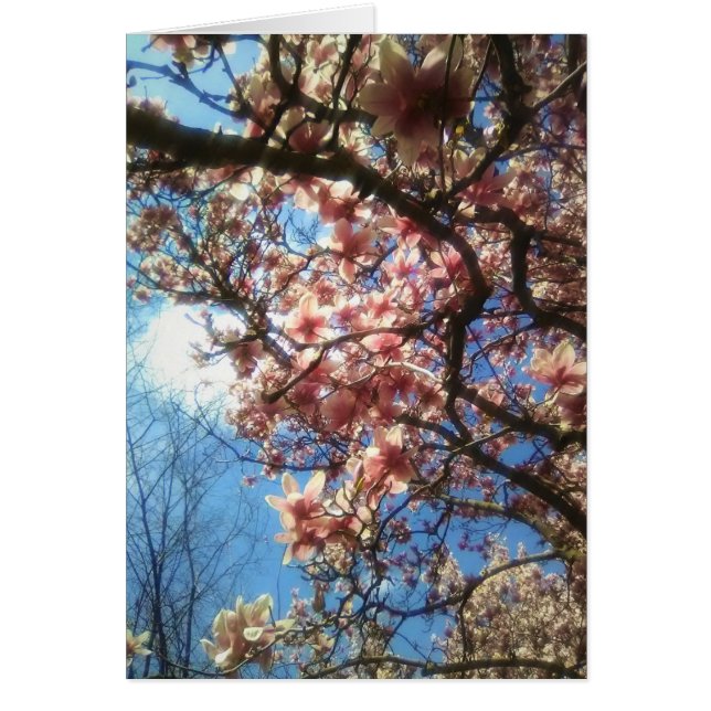 Spring Blossoms Notecard (Front)