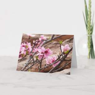 Spring Blossoms on Zion Rocks Card