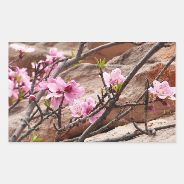 Spring Blossoms on Zion Rocks Sticker (Front)