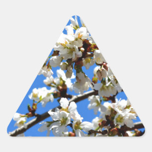 spring blossoms triangle sticker