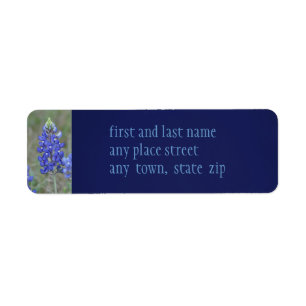 Spring Blue Bonnets