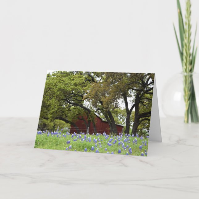 Spring Bluebonnets in Johnson City, Texas Card (Front)