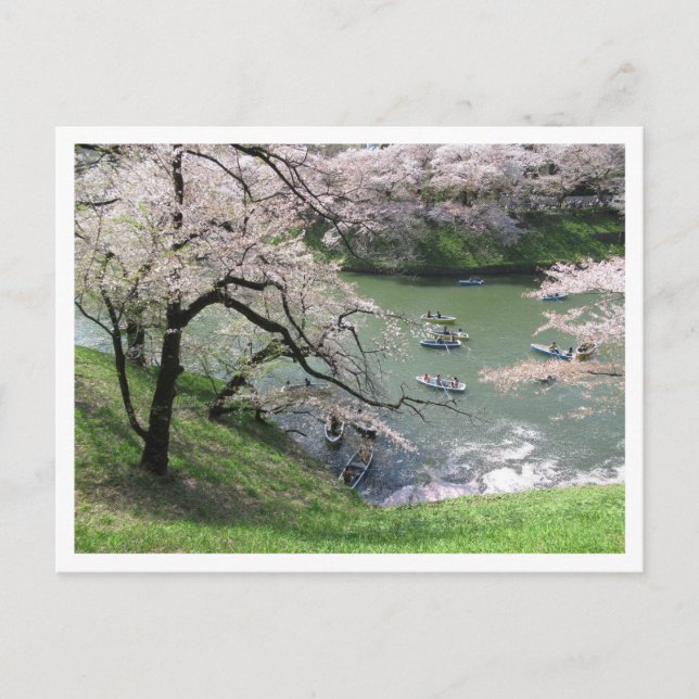 Spring Boating: Chidorigafuchi, Tokyo Postcard (Front)