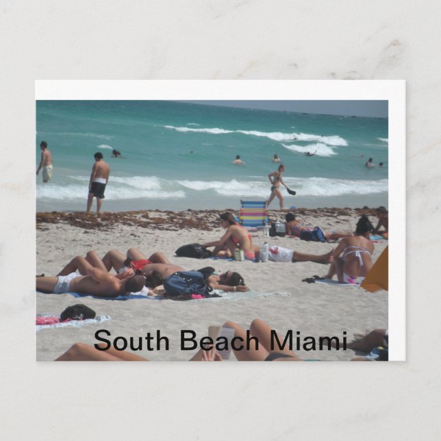 Spring break beach outing. postcard (Front)