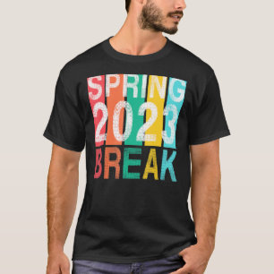 Spring Break Florida Sunset Vintage Matching Women T-Shirt