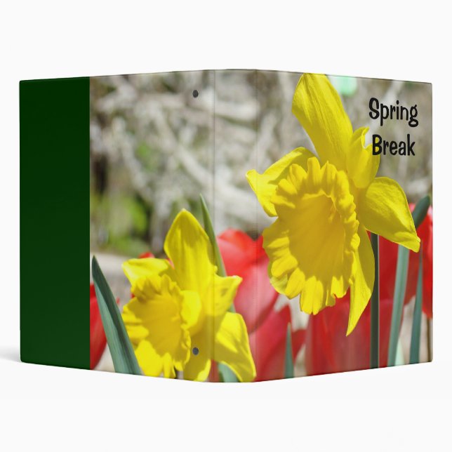 Spring Break Memories binders Daffodils Flowers (Background)