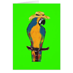 Spring Break Parrots