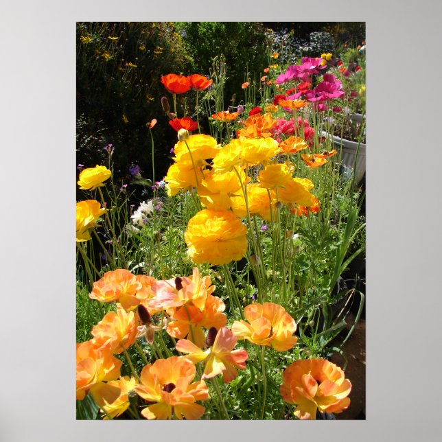 Spring Bulbs Cottage Garden Floral Flowers Poster (Front)