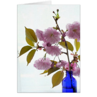 spring cherry
